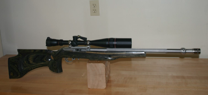 Ruger 10-22 with tuner