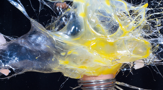 egg_shot